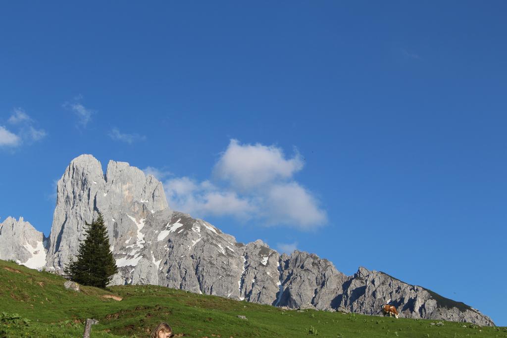Salzburger Dolomitenhof アンベルク・イム・ランマータール エクステリア 写真