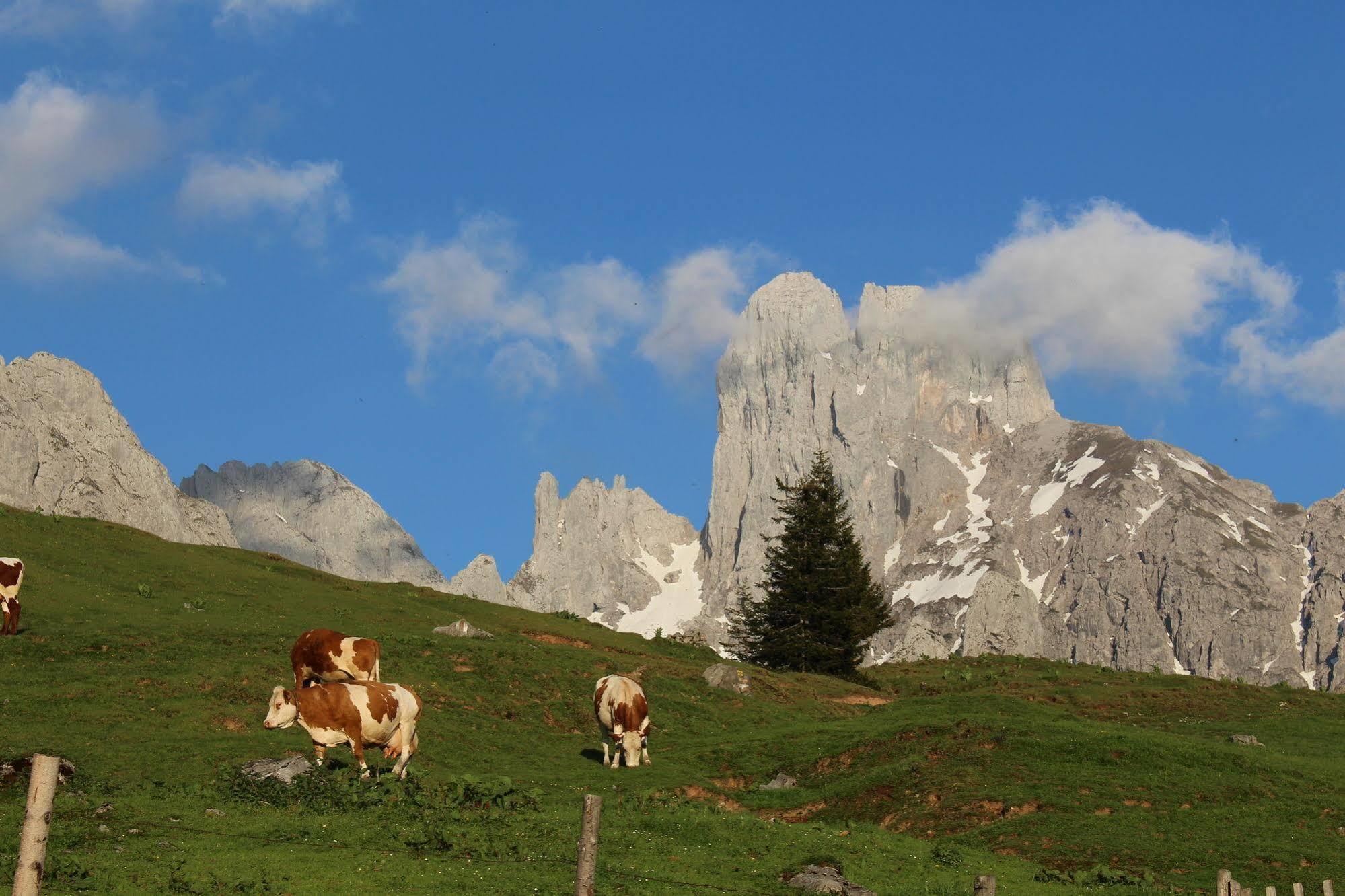 Salzburger Dolomitenhof アンベルク・イム・ランマータール エクステリア 写真